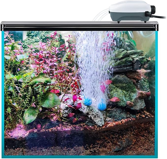 HITOP Dual Outlet Aquarium Electric Air Pump, Whisper Adjustable Fish Tank Aerator, Quiet Oxygen Pump with Accessories for 20 to 100 Gallon
