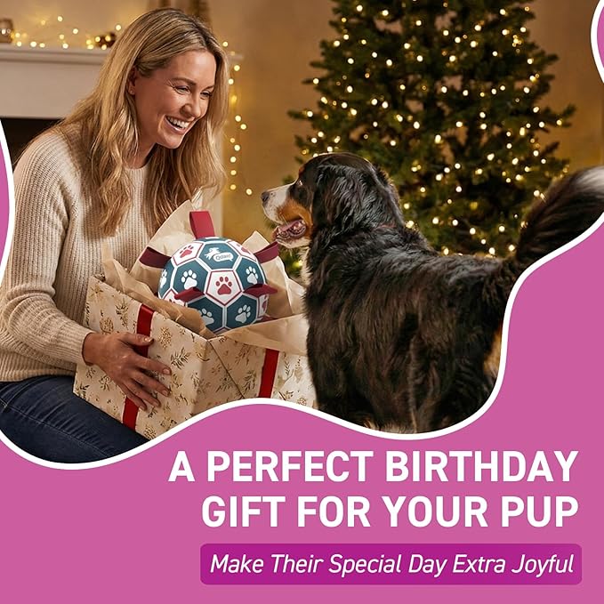 QDAN Dog Toys Soccer Ball with Straps, Durable Giant Dog Balls, Outdoor Dogs Toys, Herding Ball, Birthday Gifts (10 Inch)