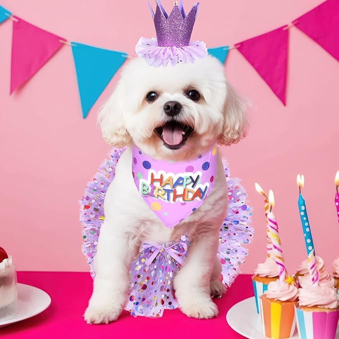 Dog Birthday Bandana with Hat and Dress Girl Set, Dog Birthday Hat Bandana Girl Birthdays Boy Girls Cake Bandanas Triangle Scarf Party Hats Dogs Bow Tie Collar, Cute Tutu Skirt Outfit for Small Dogs