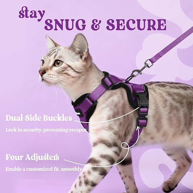 rabbitgoo Cat Harness and Leash for Walking, Escape Proof Soft Adjustable Vest Harnesses for Cats, Easy Control Breathable Reflective Strips Jacket, Purple, M