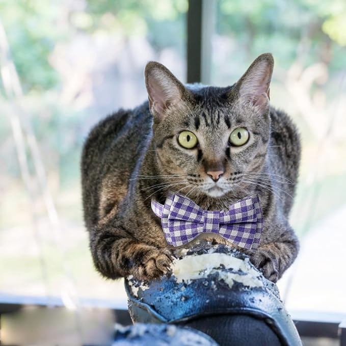 AIITLE Breakaway Cat Collar with Cute Bow Tie and Bell, Detachable Adjustable Safety Collars for Girl Cats and Boy Cats, Kittens, Puppy, Soft Stylish Plaid Patterns Cat Collars,Purple