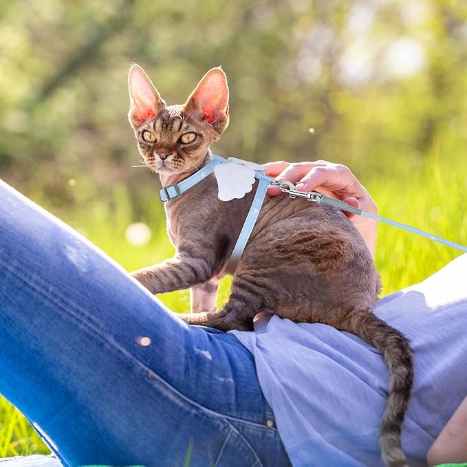 TIESOME Cat Harness and Leash Set, Adjustable Gradient Kitten Harness Escape Proof Harness with Leash for Kitty Outdoor Walking (Sky Blue)