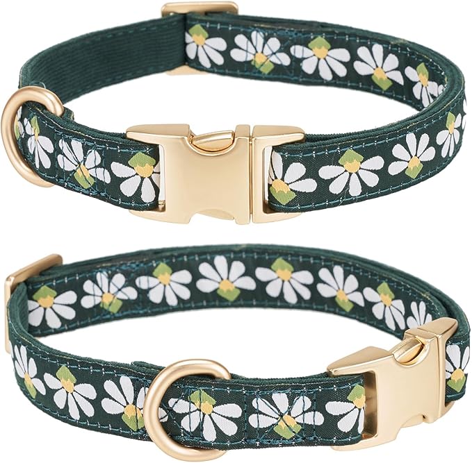 Woven Dog Collar with Metal Buckle Adjustable Jacquard Retro Dog Collars for Small Medium Large Dogs(Green,S)