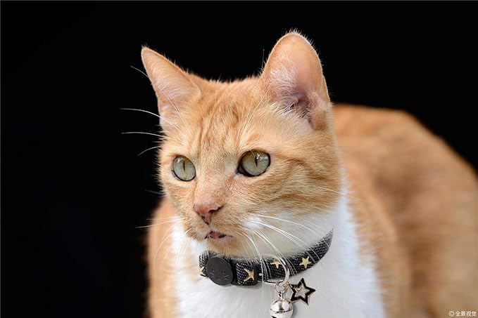 BoomBone Star Charm Studded Cat Collar Breakaway with Bell,Black Puppy Collars for Small Dogs