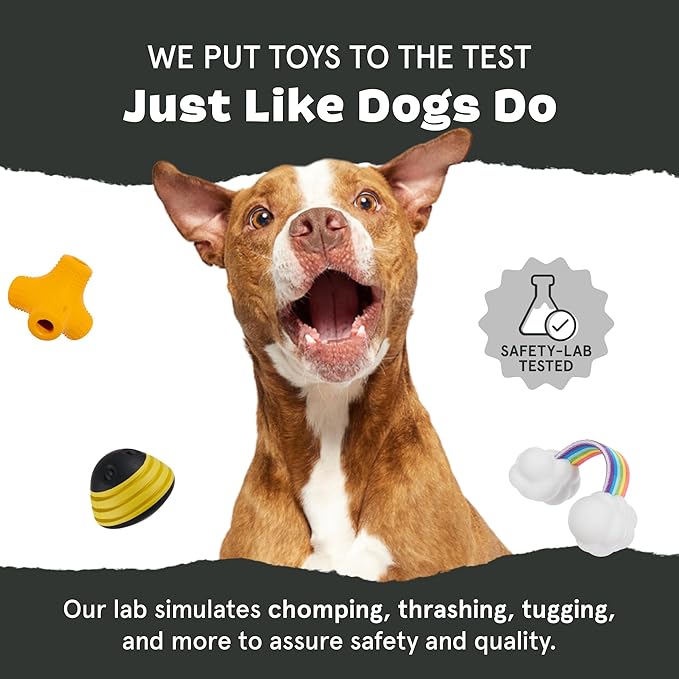 Barkbox Super Chewer Tough Dog Chew Toys for Aggressive Chewers, Dental Stimulating (Bacon Bone - Large)