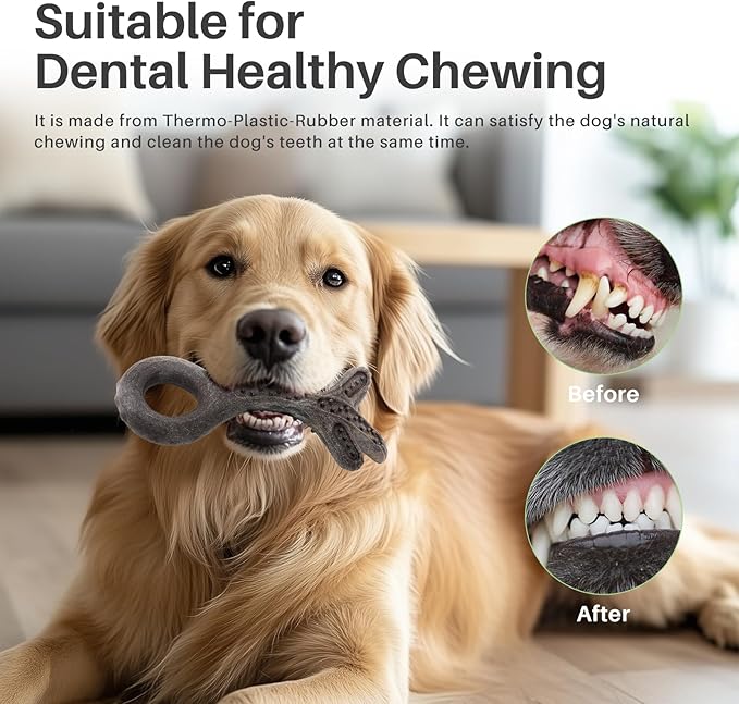 Gardner Pet 2-Pack Dog Chew Toy, Long Lasting Interactive Dog Toys Add Shredded Coconut Nylon+TPR, Teeth Cleaning and Training Toy for Medium/Large Breed,Bacon Flavor(Antler-L+Bone-L)