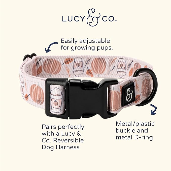 Lucy & Co. Awesomely Autumn Dog Collar - Durable Lightweight Designer Collar for Pets - Adjustable Metal Safety Buckle (Large, White & Orange Pumpkins)