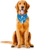 Littlearth NFL Denver Broncos Pet Bandana