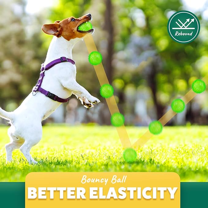 2 Different Functions Interactive Ball for Dogs 2.5” Squeaky Dog Balls Toys and Puppy Teething Chew Toy Balls for Small Dogs for Clean Teeth and Training （5Pcs）