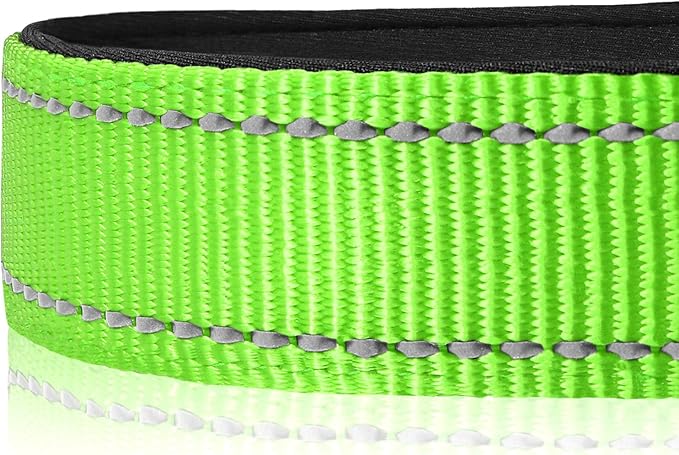 Joytale Reflective Dog Collar, Soft Neoprene Padded, Metal D-Ring, Nylon Pet Collar Adjustable for Large Dogs, Green, L