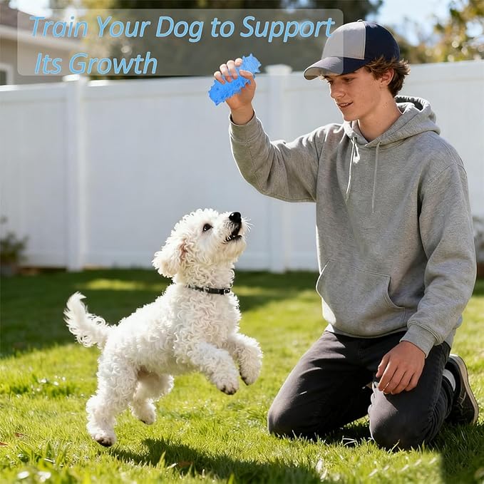 2 Pack Dog Toys for Aggressive Chewers, Tough Puppy Chew Toys Teething Bone for Puppies, Soft Foaming Rubber Interactive Toys for Small Medium Breed (Blue)