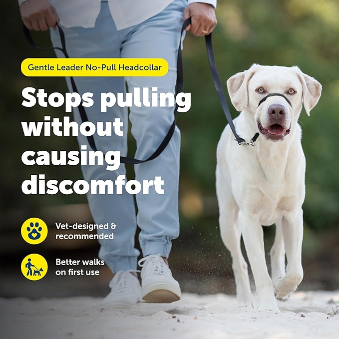 PetSafe Gentle Leader No-Pull Headcollar - Breathable Lightweight Walking Halter - Minimal Strap Design & Padded Nose Loop - Snout-Specific Fit - Helps Gain Easy Control