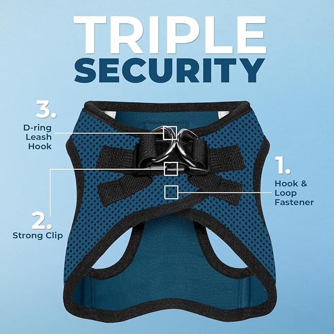 Best Pet Supplies Voyager Step-in Air All Weather Mesh Harness and Reflective Dog 5 ft Leash Combo with Neoprene Handle, for Small, Medium and Large Breed Puppies - Blue/Black Trim, X-Small