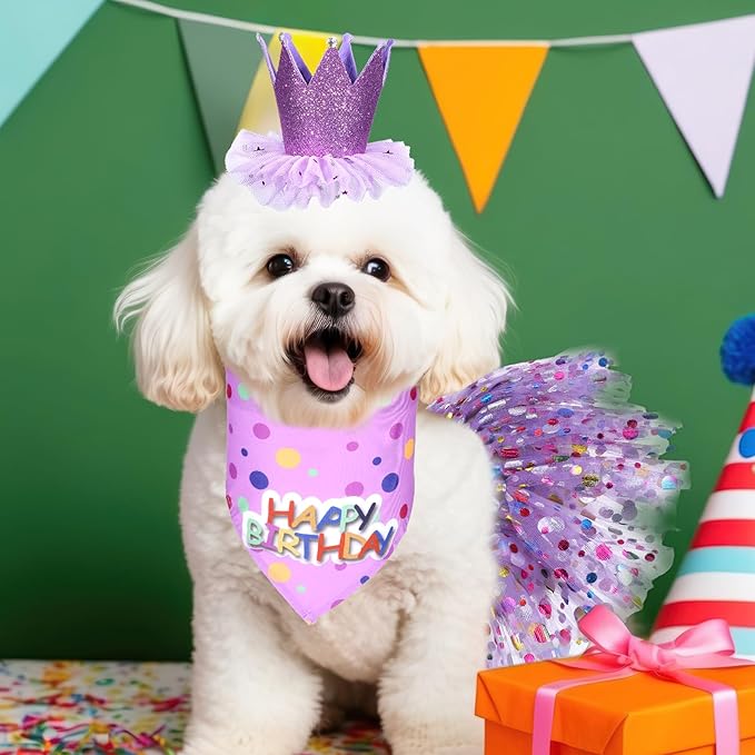 Dog Birthday Bandana with Hat and Dress Girl Set, Dog Birthday Hat Bandana Girl Birthdays Boy Girls Cake Bandanas Triangle Scarf Party Hats Dogs Bow Tie Collar, Cute Tutu Skirt Outfit for Small Dogs