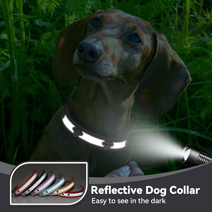 PETCARE Reflective Dog Collar with Cute Paw Rivet Studded Funny Soft PU Leather Adjustable Puppy Dog Collars for Small Medium Large Dogs Cats (Black,Large)