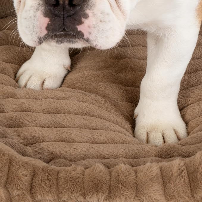 Cute Washable Dog Bed for Small Dogs -Soft Plush Calming Puppy & Cat Bed with Anti-Slip Bottom, Rectangle Anti-Anxiety Puppy Kennel Bed with Handle, 25" x 21" x 4", Brown