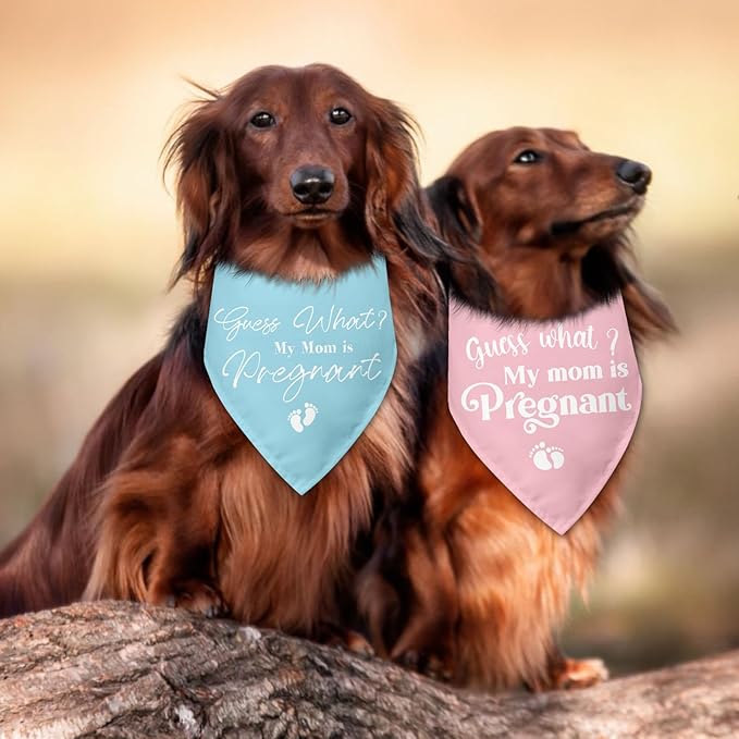2 Packs Baby Announcements Ideas Guess What? My Mom is Pregnant Pregnancy Announcement Dog Bandana Gender Reveal Pet Dog Triangle Scarf Accessories for Small Medium Large Dogs Cats