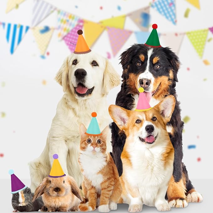 Hxezoc 10 Pcs Mini Birthday Party Hats Multicolor Lovely Crimping Cone Hats for Animals Stuffed Pets Birthday Holiday Accessories Decoration Supplies