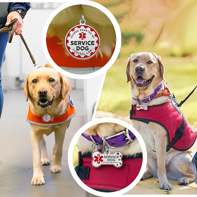 Engraved Personalized Service Dog Tag - Stainless Steel Custom ID Tags for Service Dogs - Essential Therapy Pet Name Badge for Collars, Vests, Harnesses - for Most Breeds, Small to Large