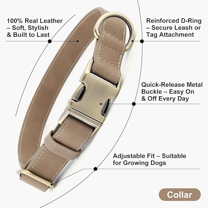 Plutus Pet Genuine Leather Dog Collar – Adjustable Pet Collar with Quick Release Metal Buckle, Soft Real Leather for Small Medium Large Dogs, Heavy Duty & Skin-Friendly (Ash Brown, M)