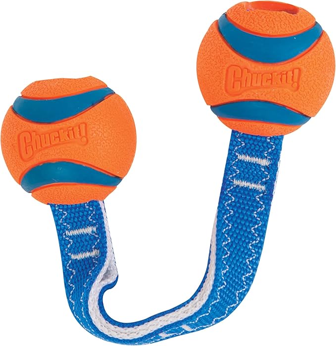 Chuckit! Ultra Duo Tug Dog Toy, Small Indoor and Outdoor Dog Ball for Dogs 0-20 Pounds