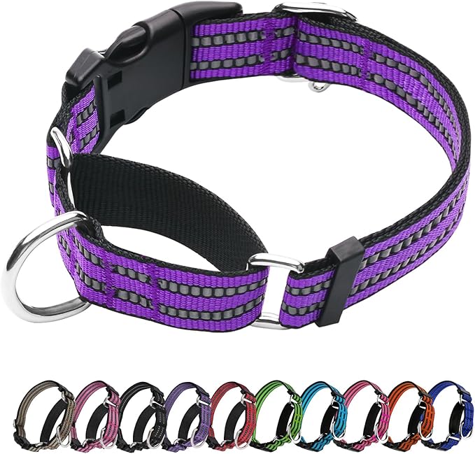 Martingale Dog Collar, Adjustable Nylon Reflective Collar with Quick Release Buckle (Real Purple, Large)
