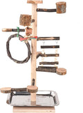 HOSUKKO Bird Playground Parrots Play Stand Wood Perches Stand, Bird Gym Playpen Platform Ladder with Feeder Cups for Cockatiels Budgies Lovebirds, Brown