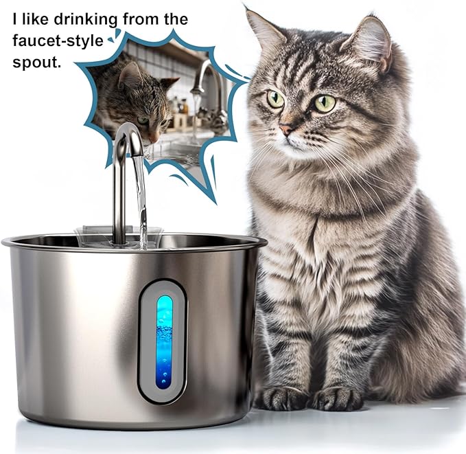 Cat Water Fountain, 74oz/2.2L Cat Fountain for Drinking - Pet Water Fountain Stainless Steel for Cats Inside - Quiet Water Bowl Dispenser - Kitty Drinking Fountains - 8 Filters + 8 Sponges
