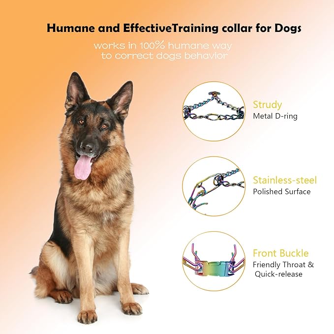 Dog Prong Collar - Stainless Steel Pinch Collar for Large Dogs Training, Adjustable Choker Chain Collar, Durable Dog Training Collar for Medium/Large Breed Obedience (2.3mm, Neck Size 17"-19")