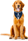 Littlearth NFL Denver Broncos Pet Bandana