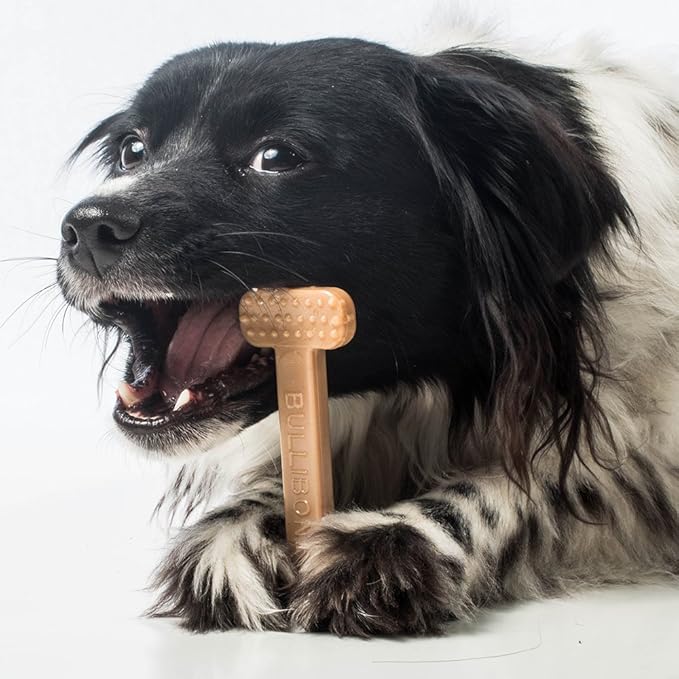 Bullibone Nylon Dog Chew Toy for Aggressive Chewers - Dental Hygiene Bone with Beef Flavor, Durable Tough Chew Toys for Small Dogs, Indestructible Dog Bone - Single