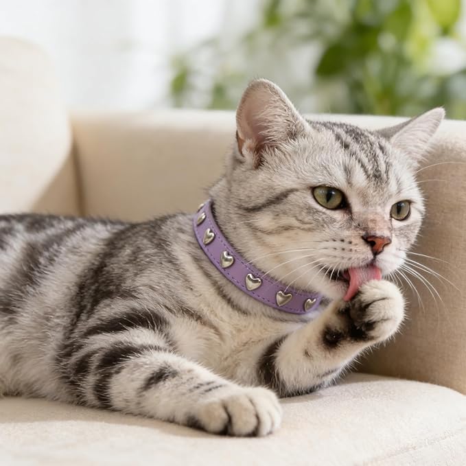 EXPAWLORER Leather Cat Collar for Girl Boy- Adjustable Pet Collar with Safety Elastic Belt,Personalized Heart Accessories Buckle Collars with Bell & Durable D-Ring,Heart (Purple)