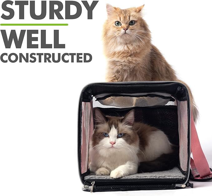 EXPAWLORER Large Cat Carrier Dog Carriers Soft for Small Medium Cats Puppies Up to 20lbs, Airline Approved Pet Carrier Soft-Sided Collapsible Pet Travel Carrier Fit 2 Kitties (Pink)