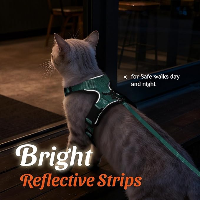 Dooradar Cat Harness and Leash Set, Escape Proof Safe Adjustable Kitten Vest Harnesses for Walking, Easy Control Soft Breathable Mesh Jacket with Reflective Strips for Cats, Green, S