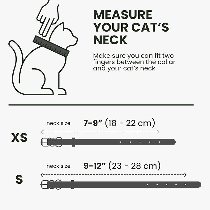BRONZEDOG Leather Cat Collar with Removable Bells Non Breakaway Kitten QR Tag for Girl Boy (7" - 9" for Cats, Black & Gold) (Pack of 2)