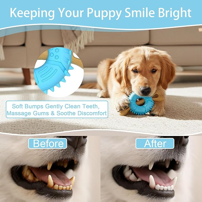 Dog Chew Toys, Indestructible Dog Toys for Aggressive Chewers - Small & Medium Breed, Durable Rubber Chew Bone Toy for Small Dogs, Tough Tire Dog Toy, Puppy toys for Teething, Anxiety & to Keep Busy