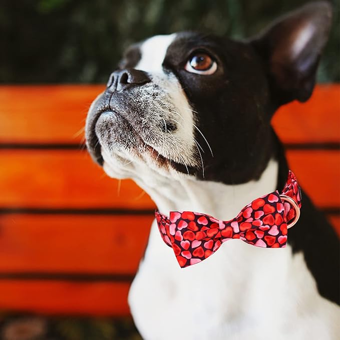 MR. CHUBBYFACE Valentines' Dog Collar with Bowtie Pink Love Pet Collar, Cute Adjustable Puppy Collar for Small Medium Large Dogs