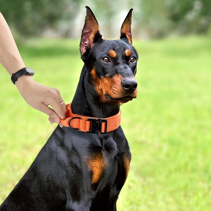 Tactical Dog Collar, Adjustable Military Training Nylon Dog Collar with Control Handle and Heavy Quick-Release Metal Buckle for Small Medium Large Dogs, Orange XL