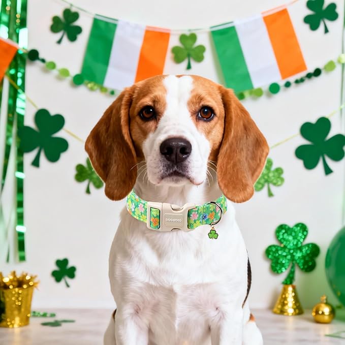 DOGWONG St. Patrick Dog Collar, Comfortable Adjustable Green Clover Pattern Dog Collar for Large Male Female Dogs,L