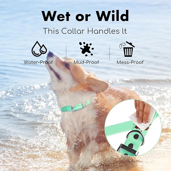4.2FT Dog Collar and Leash Set, PVC Waterproof Adjustable Odor Proof Pet Collars Leashes, Easy to Clean, Surface 3D Cube Effect, Dog Leash for Small Dogs, Light Green
