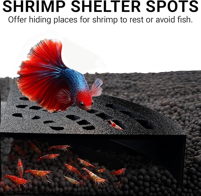 Shrimp Cave 2-Pack – Space-Saving Fan-Shaped Aquarium Cave Decor with 180° Wide-View Design, Compact Fish Tank Accessories for Cherry/Dwarf Shrimp (Black)