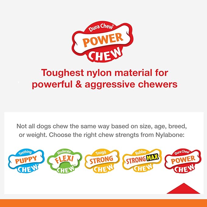 Nylabone Power Chew Antler Alternative Nylon Chew Toy for Dogs, Dog Toys for Aggressive Chewers, Venison Flavor, Large/Giant (1 Count)