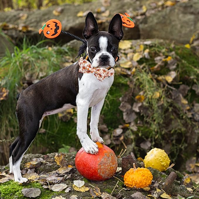 Dog Collar - Thanksgiving Turkey Bowtie Gift, Soft Bow Adjustable Metal Buckle for Small Dogs