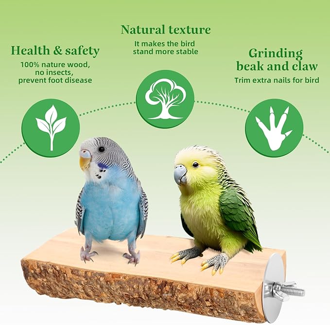 2PCS Natural Wood Bird Perch Platform for Cage - Parrot Perch Stand for Conures, Cockatiels, Budgies, Lovebirds, Parrotlets, Small Bird Cage Accessories & Wooden Perches for Small Parrots