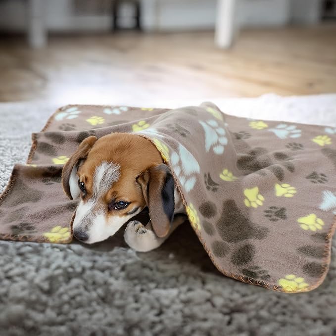 Tatuo 10 Pieces Pet Blankets with Paw Print Dog Cat Fleece Blankets Soft Warm Sleep Mat Pad Bed Cover for Kitten Puppy and Other Small Animals, 24 x 28 Inch(Cute Color)