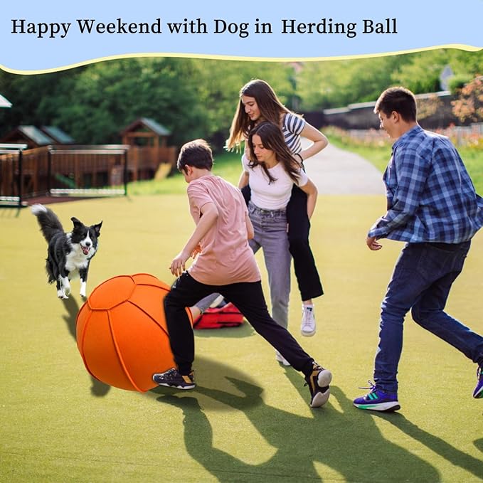 Herding Ball for Dogs, Dual Layered Herding Dog Ball Set for Australian Shepherd, Cattle, Collie, for Dog, Agility Equipment- Free Training Book (Orange, 22 inch)