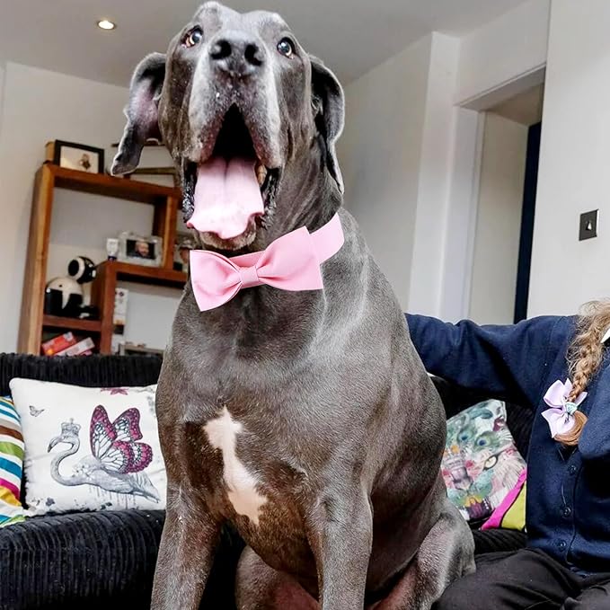 Segarty Dog Bow Ties for Large Dogs Neck Girth 16.5-21.3in, Adjustable Pink Bowtie Collar Neck Tie Tuxedo Comfortable Cotton Girl Pets Bows Grooming Accessory for Formal Wedding Holiday Birthday Party