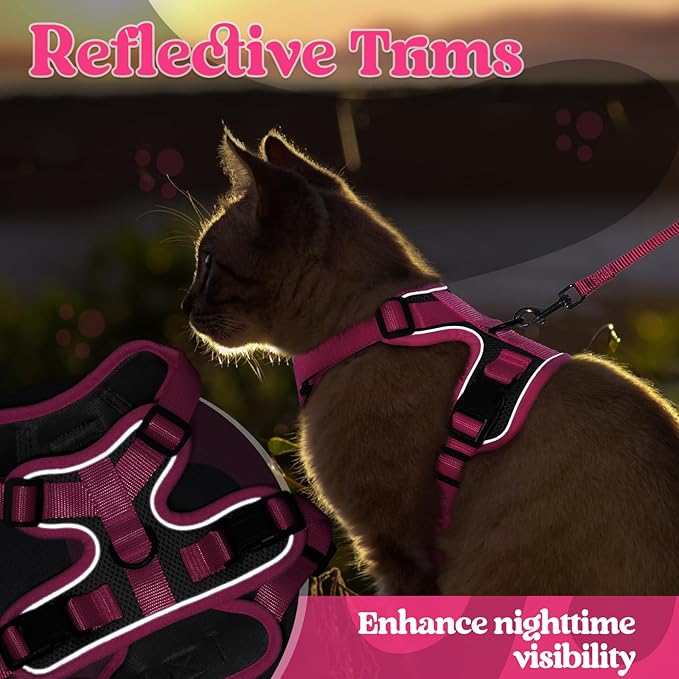 rabbitgoo Cat Harness and Leash Set, Escape Proof Soft Adjustable Vest Harnesses for Outdoor Walking, Easy Control Breathable Kitten Jacket with Reflective Strips, Black & Rose Pink, XXS