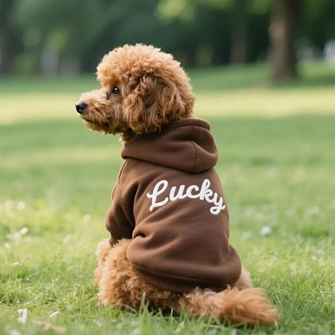 Personalized Dog Hoodie, Custom Embroidered Name Pet Hoodie, Warm Winter Outfit for Dogs, Pet Clothes, Gift for Dog Lovers 1