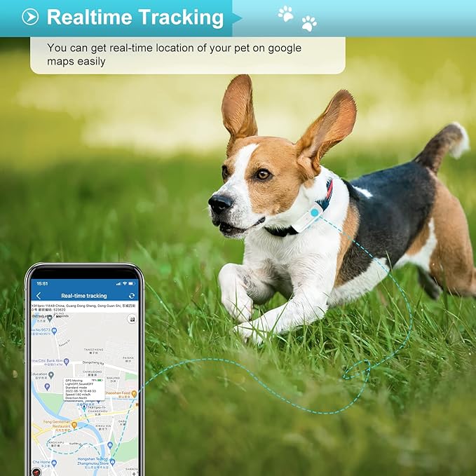 Zeerkeer 4G Pet GPS Tracker Waterproof Real-time Mini Pet Cat Dog GPS Tracker Locator Pet Location & Activity Trackers Collar for Dogs, Cats, Pets,Kids,Elders, Free APP/Web Platform Control